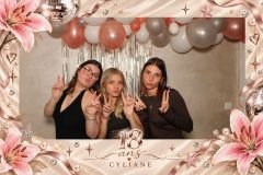 overlay_image_1790361350317