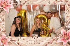 overlay_image_1790362390598