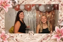 overlay_image_1790362762407