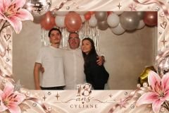overlay_image_1790373208848